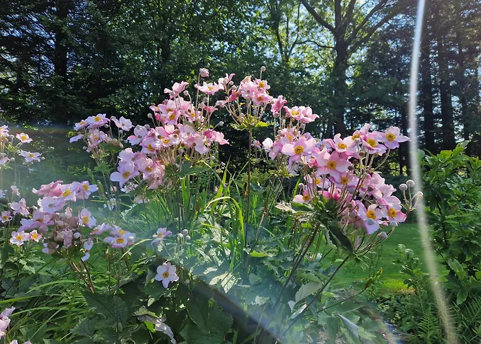 At Bjerkreimselva Tengesdal (Bjerkreim, Rogaland)