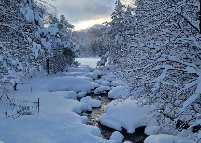 At Bjerkreimselva アパート *