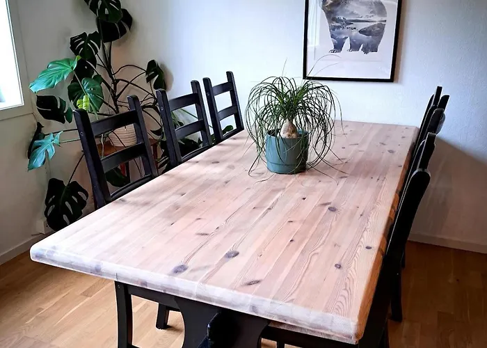 アパート At Bjerkreimselva *